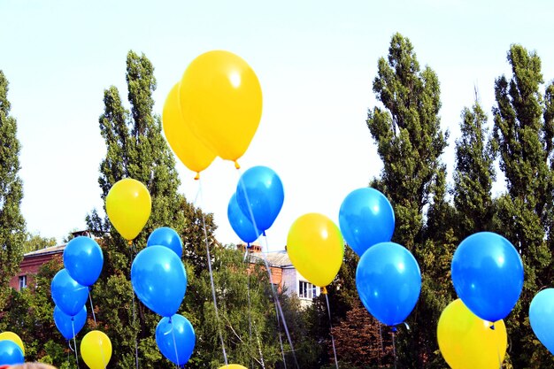 Ballons de couleur jaune et bleu pendant les vacances du 1er septembre Vacances de la connaissance à Tchernihiv Ukraine en 2016