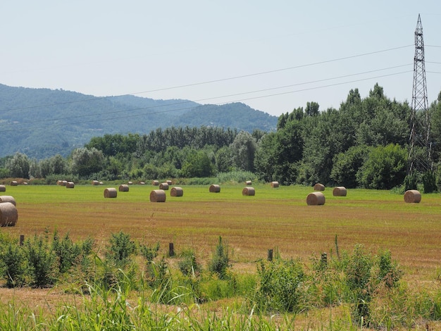 Ballots de foin