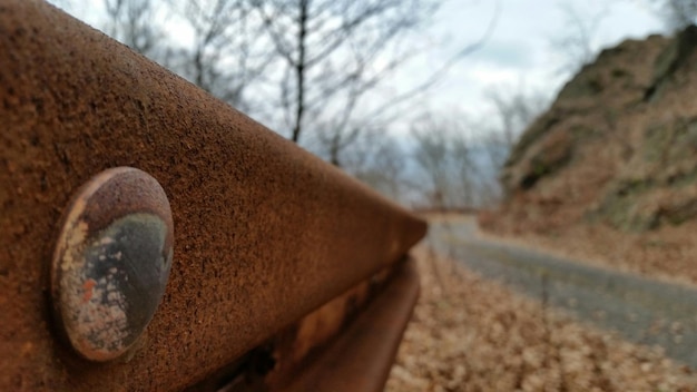 Photo des balustrades rouillées sur la route de la forêt.