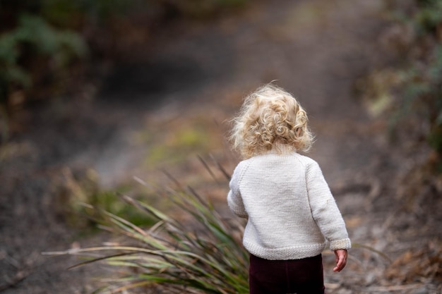 bambin blond marchant dans une forêt lors d'une randonnée au printemps dans un parc national