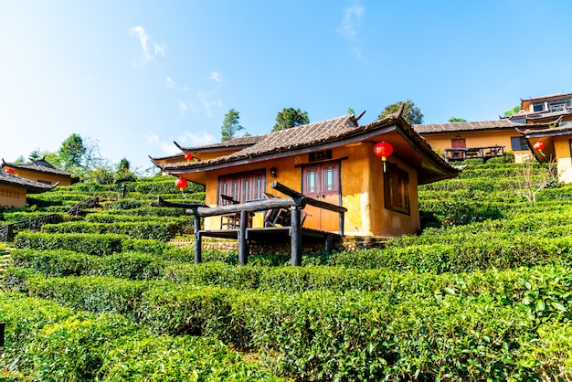 Ban Rak Thai, une colonie chinoise à Mae Hong Son, Thaïlande.