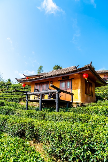 Ban Rak Thai, une colonie chinoise à Mae Hong Son, Thaïlande.