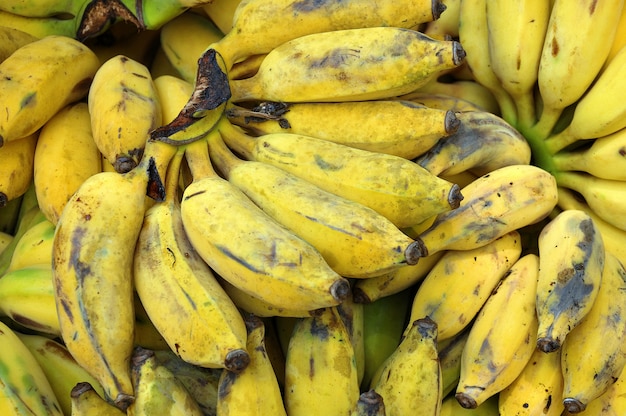 La banane est la plus grande plante à fleurs herbacée