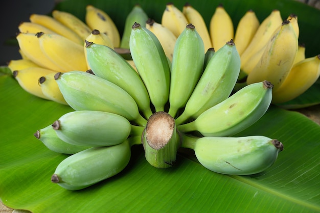 Banane verte sur feuille de bananier