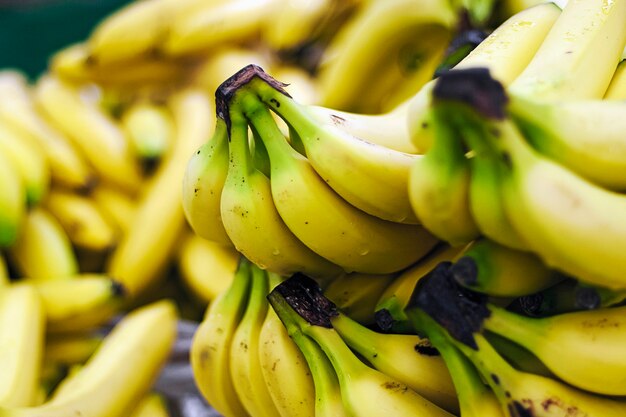 Bananes dans le département des fruits de l'épicerie