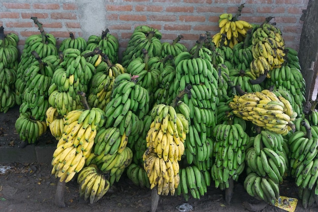 Bananes dans la maison des agriculteurs