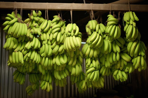 Photo bananes fraîches non mûres suspendues fruits tropicaux récoltés les bananes sont vendues sur le marché