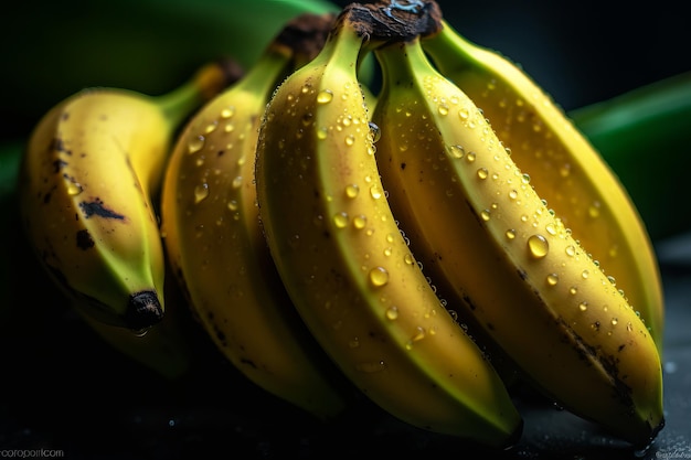 Les bananes avec des gouttes d'eau sont sur un fond sombre.