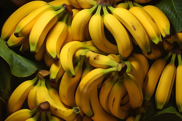 Photo bananes jaunes mûres elles sont disposées en grappes