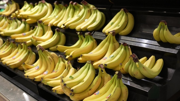 Bananes jaunes mûres sur le rack d'un magasin agricole Collection stockage et vente de produits Cercles de bananes Le concept d'une alimentation saine