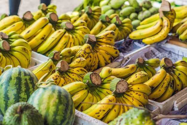 Bananes sur le marché vietnamien