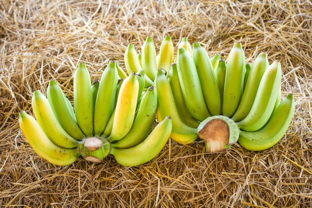 Bananes sur paille séchée