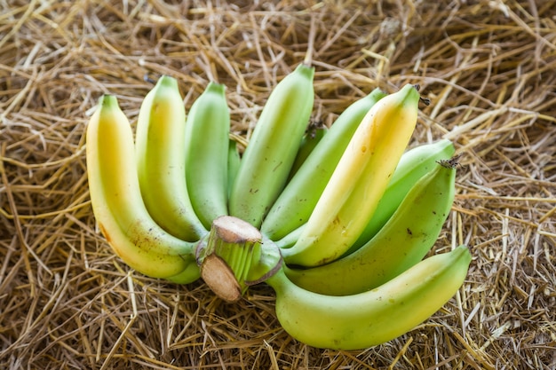 Bananes sur paille séchée