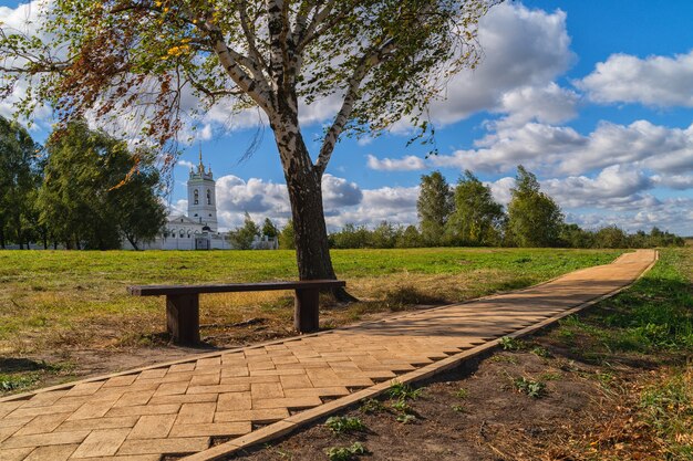 Banc et arbre par le chemin sur un parc