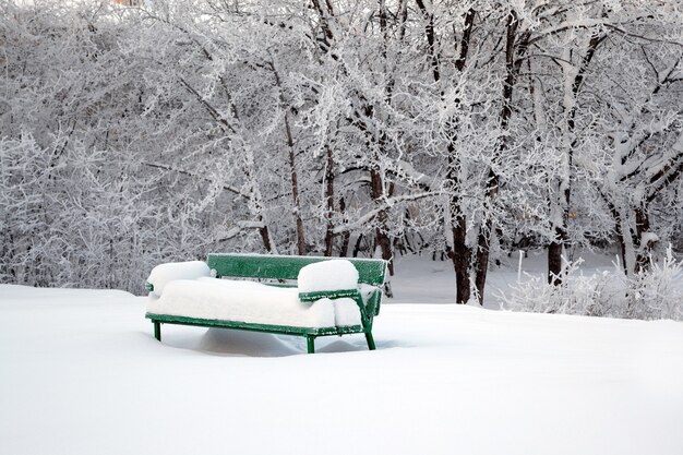 Un banc et des arbres couverts de neige après des chutes de neige