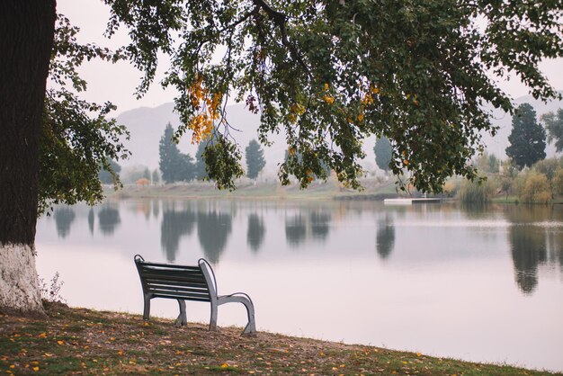 Photo banc au bord du lac en automne