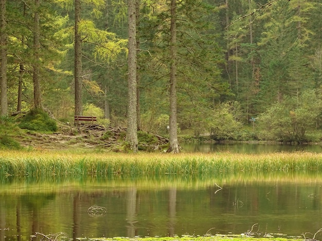 Photo banc au bord du lac