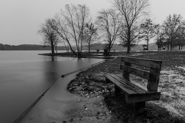 Photo sur un banc au bord de la rivière par des arbres nus contre le ciel