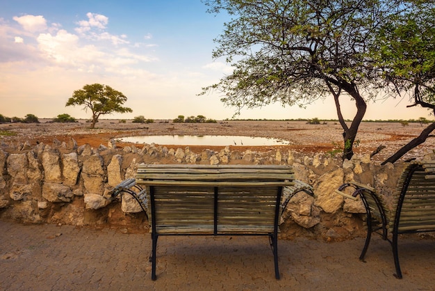 Banc au point d'eau du camping d'Okaukuejo dans le parc national d'Etosha en Namibie