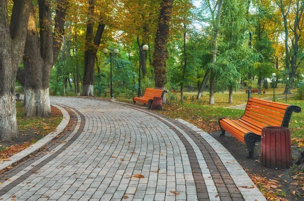 Banc en automne avec feuillage coloré et arbres