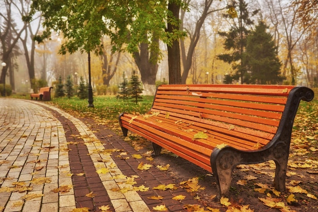 Banc en automne avec feuillage coloré et arbres