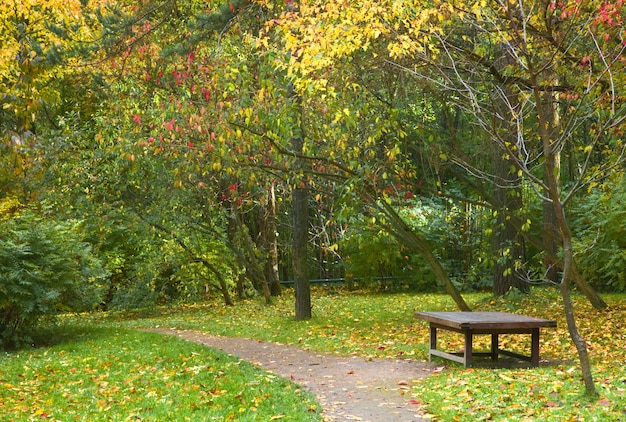 Banc en automne parc