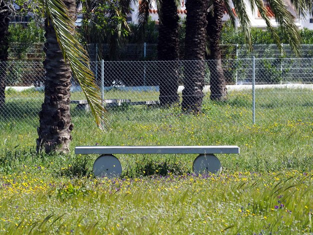 Banc en béton parmi les fleurs