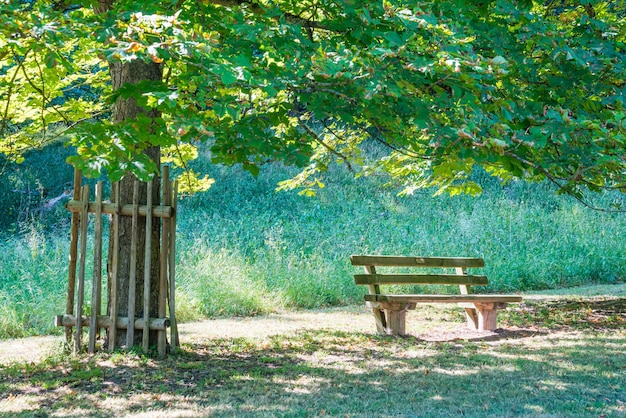 Banc en bois ancien dans le jardin