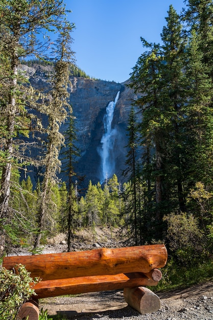 Banc en bois au bord de la rivière Yoho sur la cascade des chutes Takakkaw lors d'une journée ensoleillée. Parc national Yoho, Rocheuses canadiennes, Colombie-Britannique, Canada.