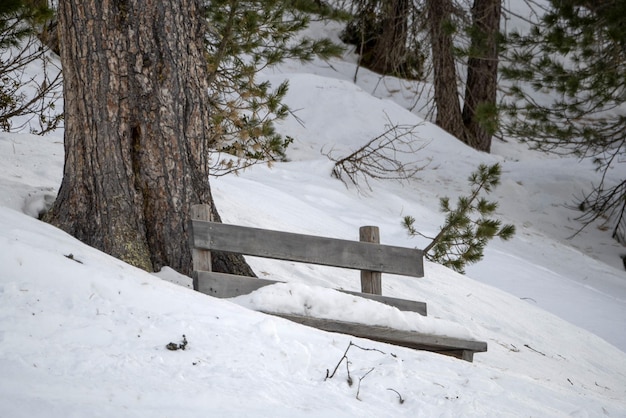 Banc en bois couvert de neige dans les dolomites