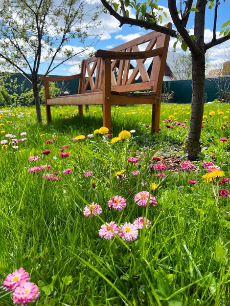 Banc en bois dans le jardin avec des arbres et de l'herbe verte avec des fleurs d'été roses