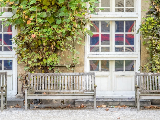 Banc en bois dans le jardin