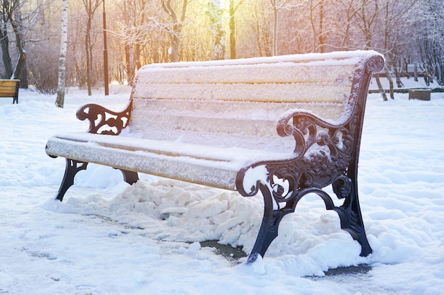 Banc en bois dans un parc d'hiver. Banc givré