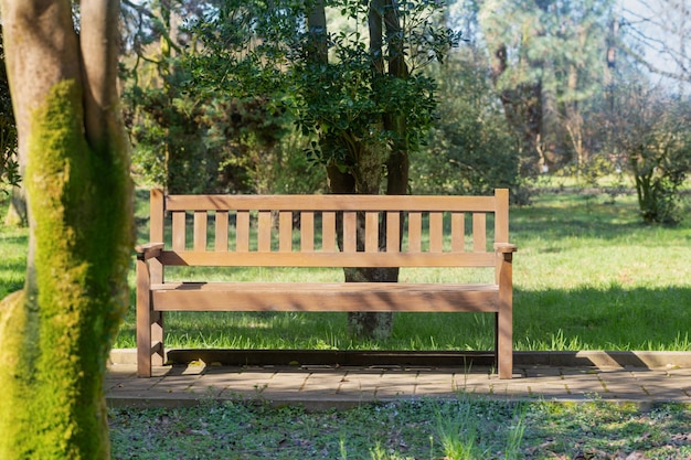 Banc en bois dans le parc de printemps ensoleillé