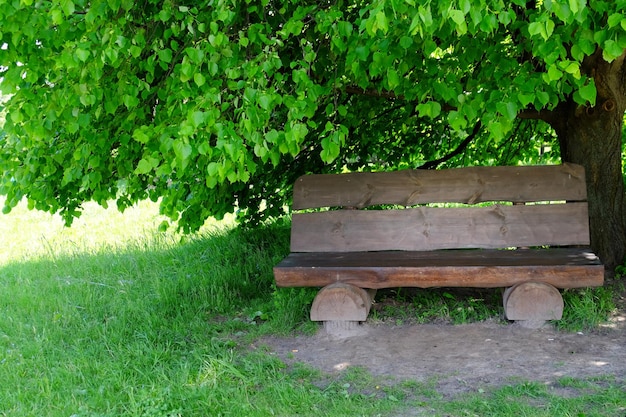 Banc en bois dans le parc