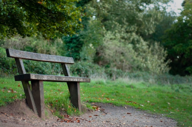 Photo banc en bois dans le parc