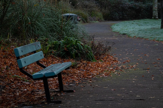 Un banc en bois dur de teck sur la pelouse en hiver au Royaume-Uni