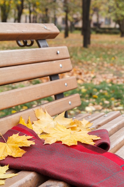 Banc en bois et écharpe avec des feuilles sèches jaunes dans le parc de la ville. Thème d'automne.