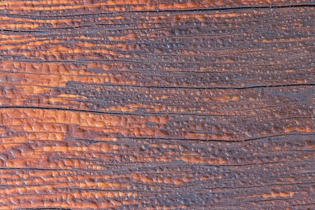 Banc en bois avec des gouttes d'eau