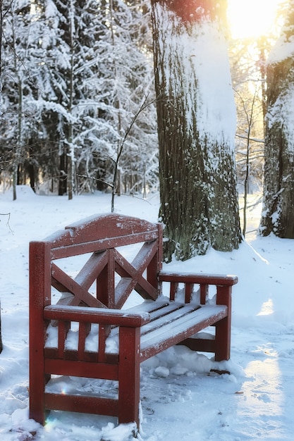 Banc en bois en hiver