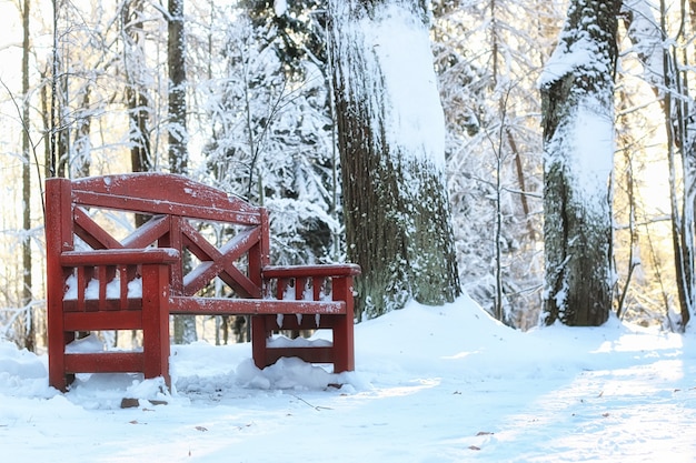 Banc en bois en hiver