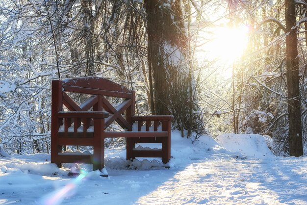 Banc en bois en hiver