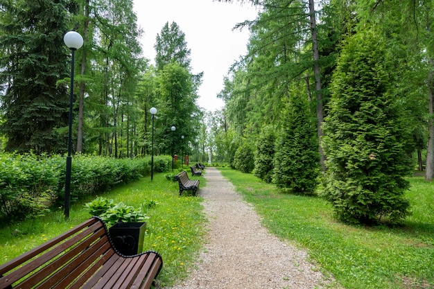 banc en bois solitaire dans le parc en été