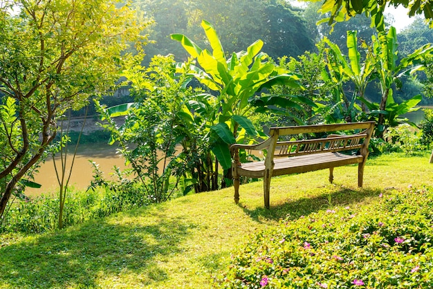 Banc en bois vide dans le jardin avec vue sur la rivière