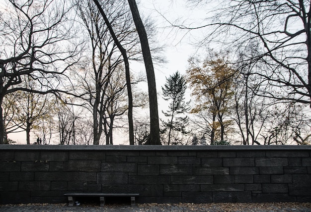 Banc Central Park