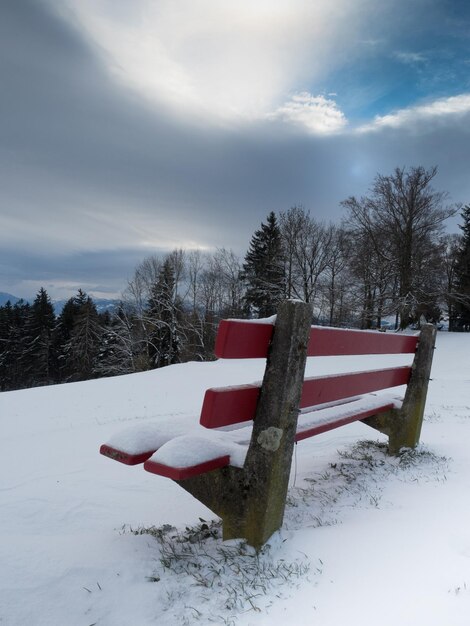 Photo un banc couvert de neige dans le parc contre un ciel nuageux