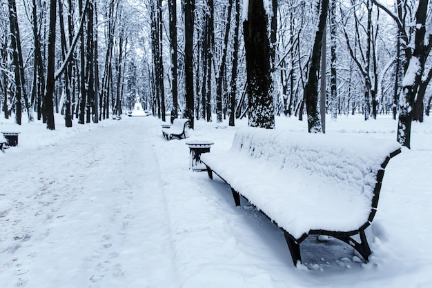 Banc couvert de neige dans le parc de la ville. Paysage d'hiver.