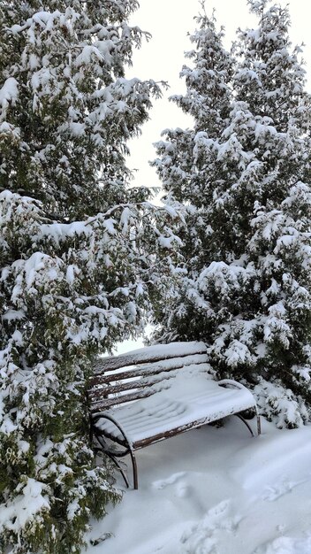 banc couvert de neige