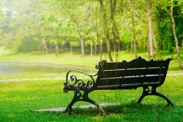 Banc dans le jardin par une journée ensoleillée, personne ne se sent calme, reposant et rafraîchissant.