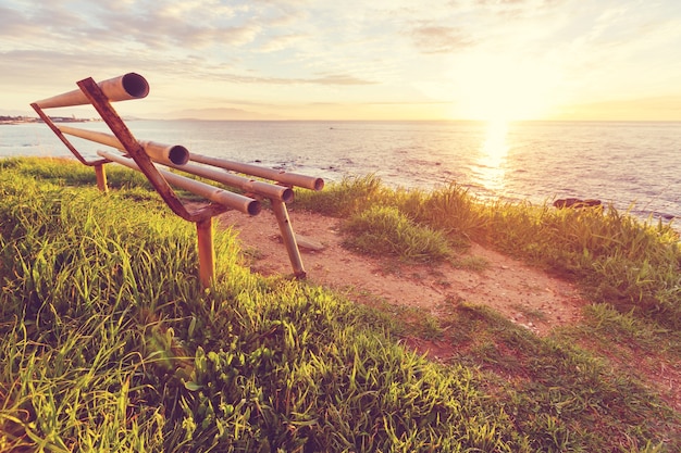 Photo banc dans le jardin à sunrice au printemps